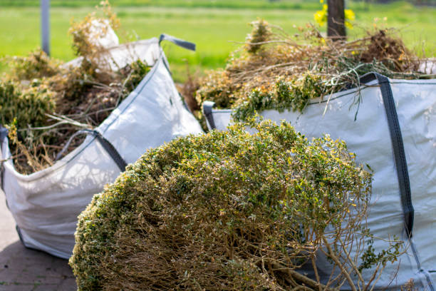 Best Residential Junk Removal  in Cave City, AR